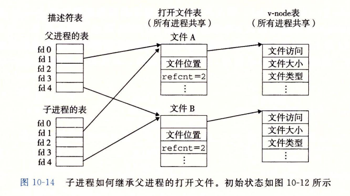 文件共享 1
