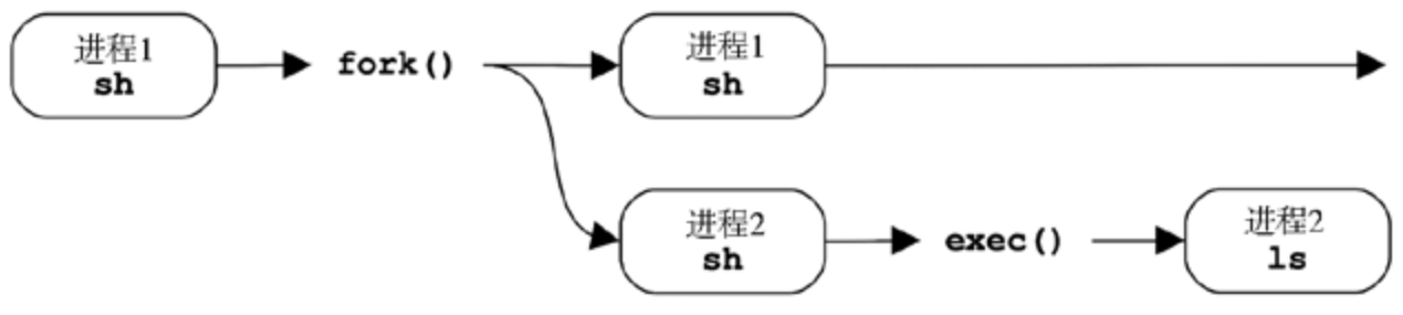 进程创建